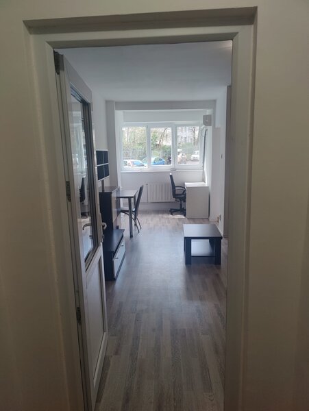 Dristor, proprietar.