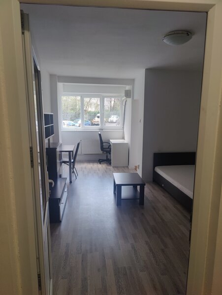 Dristor, proprietar.